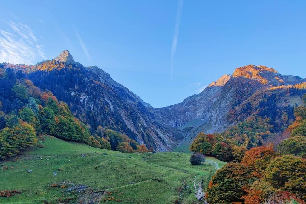 Logement 6 Pers Au Coeur Des Montagnes Pyreneennes Linge De Maison Et Papier Toilette Non Fournis Boutx Exteriör bild