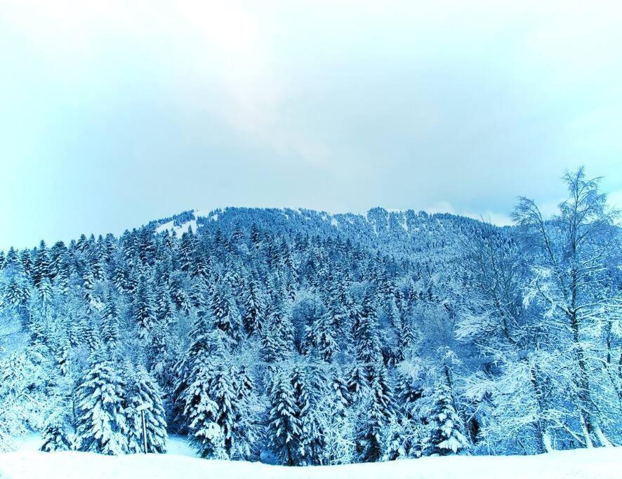 Logement 6 Pers Au Coeur Des Montagnes Pyreneennes Linge De Maison Et Papier Toilette Non Fournis Boutx Exteriör bild