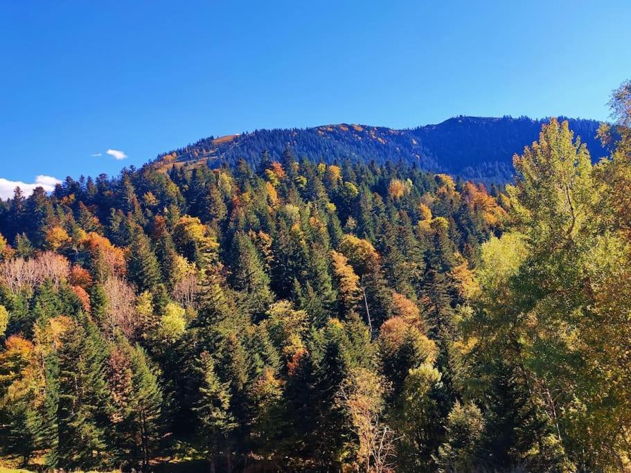 Logement 6 Pers Au Coeur Des Montagnes Pyreneennes Linge De Maison Et Papier Toilette Non Fournis Boutx Exteriör bild