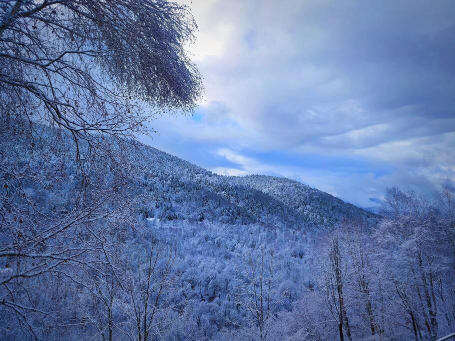 Logement 6 Pers Au Coeur Des Montagnes Pyreneennes Linge De Maison Et Papier Toilette Non Fournis Boutx Exteriör bild