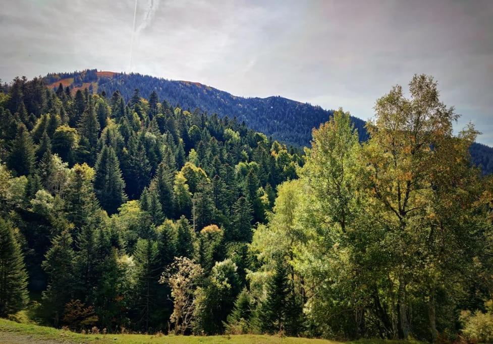 Logement 6 Pers Au Coeur Des Montagnes Pyreneennes Linge De Maison Et Papier Toilette Non Fournis Boutx Exteriör bild